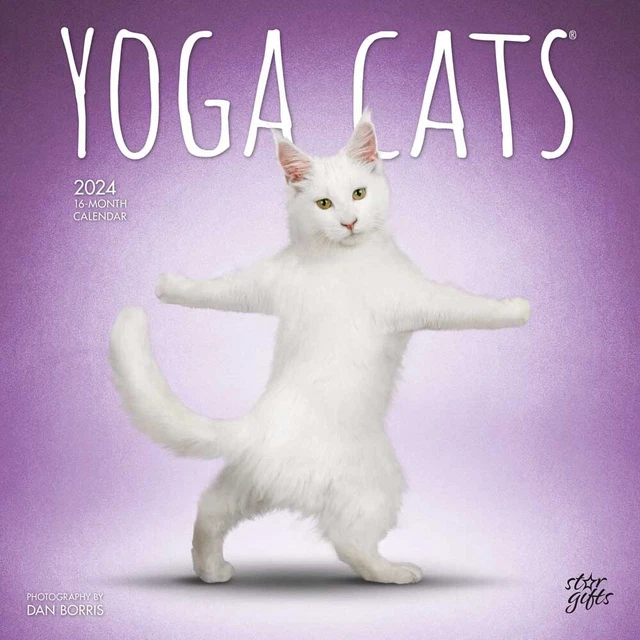 YOGA CATS OFFICIAL 2024 12x24" Monthly Square Wall Calendar 16.99