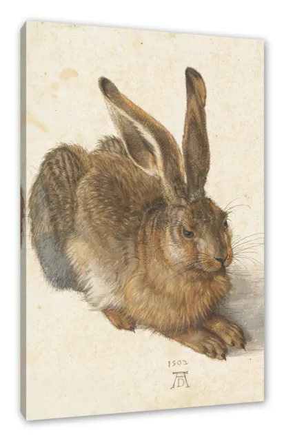 Albrecht Dürer - Feldhase , Leinwandbild, Kunst