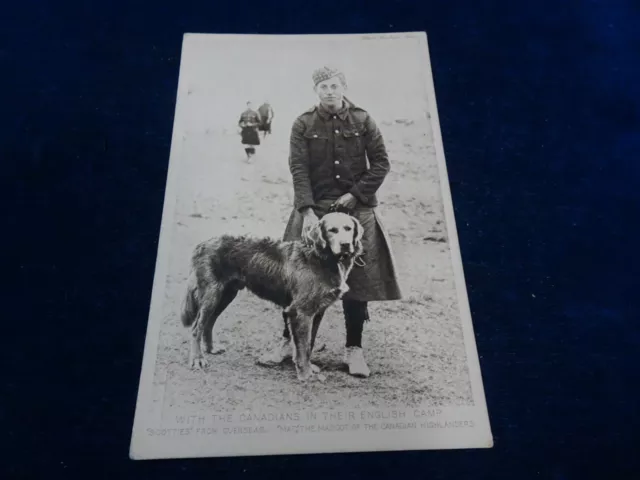 Orig WW1 Postcard "Canadian Highlanders - Mac The Dog Mascot" P