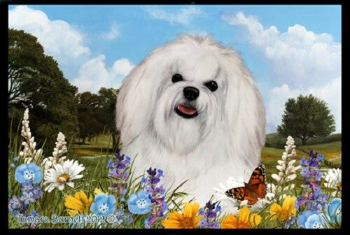 Summer Floor Mat - Maltese 39041