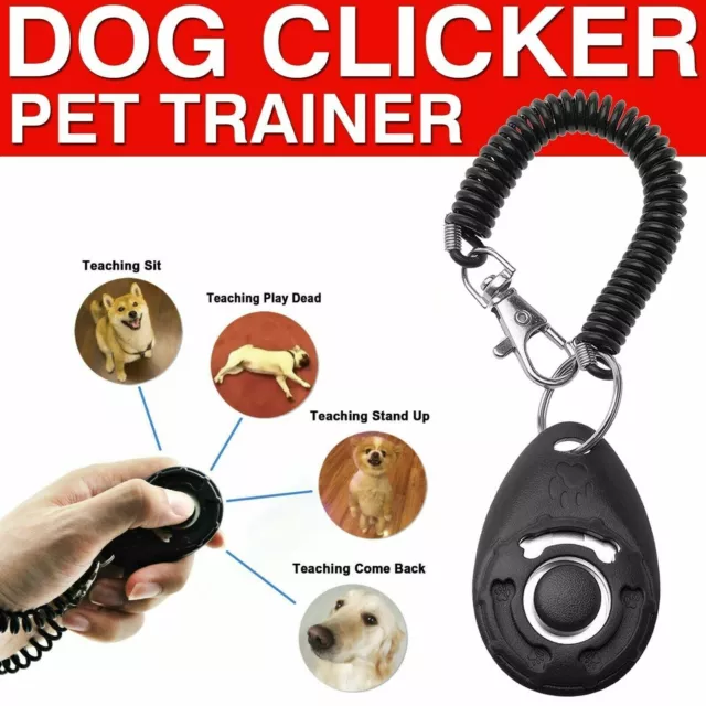 Training Dog & Puppy Clicker and Recall Teaching Tool Behaviour Agility