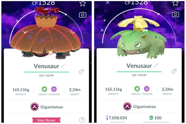 Pokémon TCG Pikachu V Gold - Celebrations - GRAAD 9,5 Ita - Magicians Circle - Foto 2