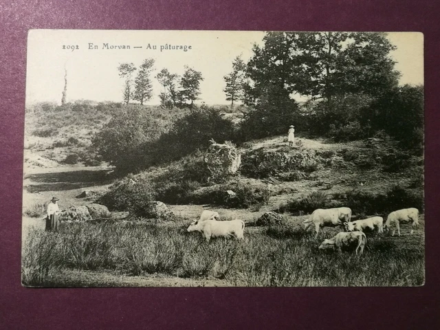 CPA 58 EN MORVAN - Au Pâturage