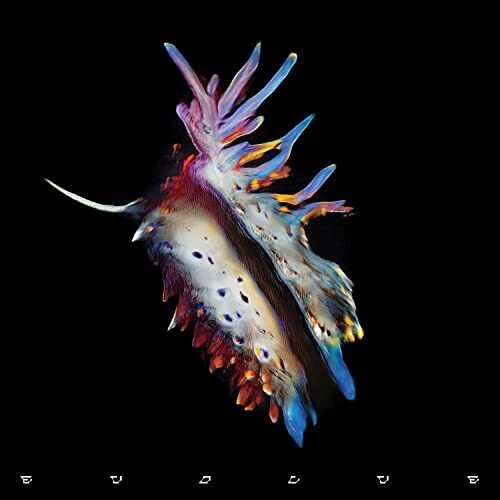 Sub Focus - Evolve - New Vinyl Record l.p. set - J99A
