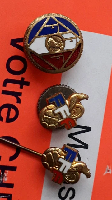 SK726 - INSIGNE FEDERATION FRANCAISE ECOLE DE SKI - CRISTAL