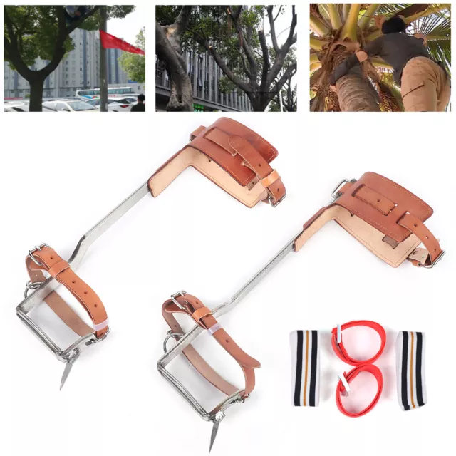 New Tree Climbing Gear Kit Tree Work Tree Climbing Tool with Tree Spikes 200KG