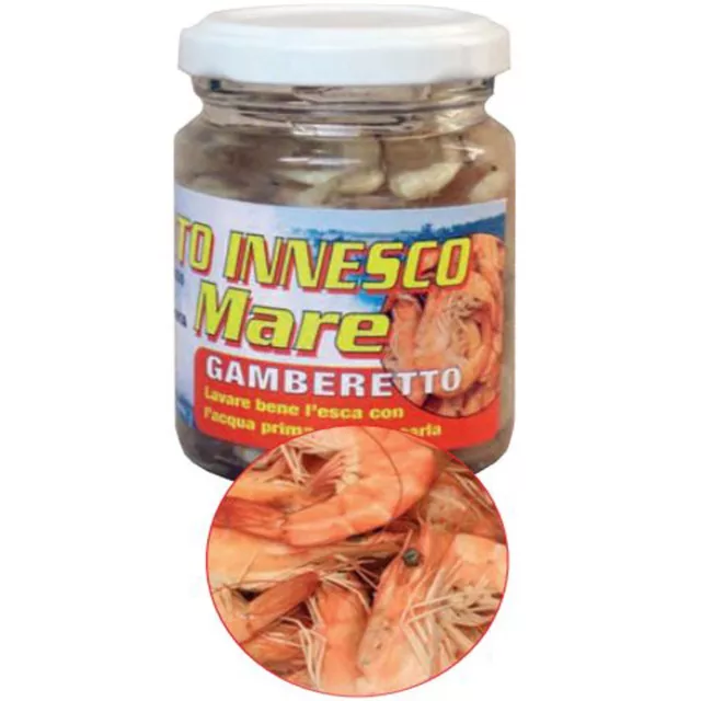 Gamberetto Sottolio Innesco Amo Pesca Spigola Canna Bolognese Galleggiante Mare