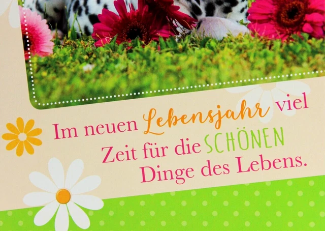 Geburtstagskarte Mit Dalmatiner – „How Old?“ Witzige Frage, Innen Leer Zum Selbstgestalten – Perfekt Für Hundefans