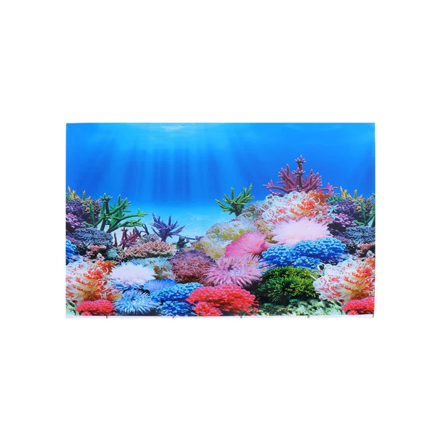Poster 30 x 42 cm sfondo acquario 10 galloni carta da parati per piscina per pesci