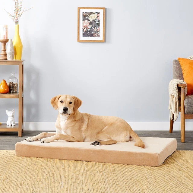 LYY Plush Orthopedic Pillow Cat & Dog Bed w/Removable Cover