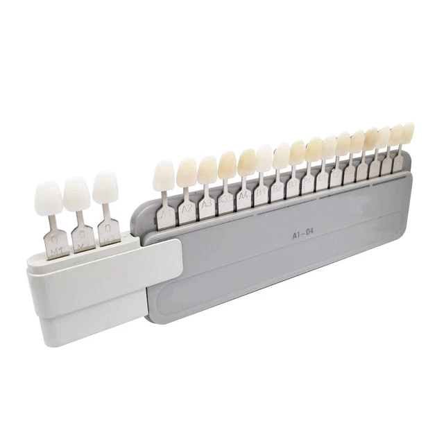 Dental Shade Guide Classical A1-D4 with Attached Bleached Extension 19 Colors