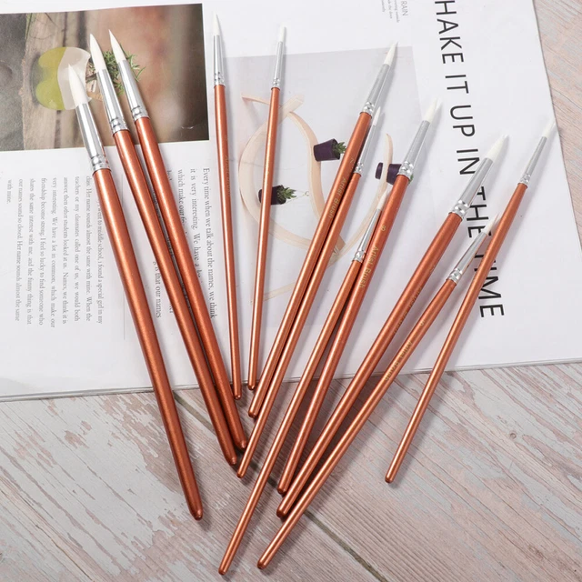 12 Pieces Ensemble De Pinceaux De Peinture Pinceau Aquarelle Nacré