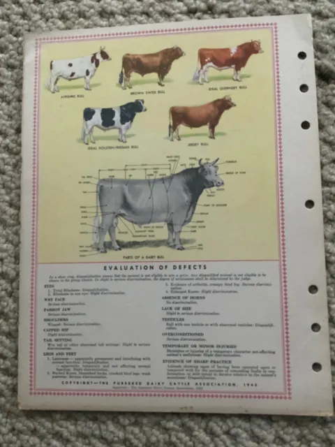 DAIRY COW SCORE CARD, THE PUREBRED DAIRY CATTLE ASSOCIATION, 1943, Neat, RARE!