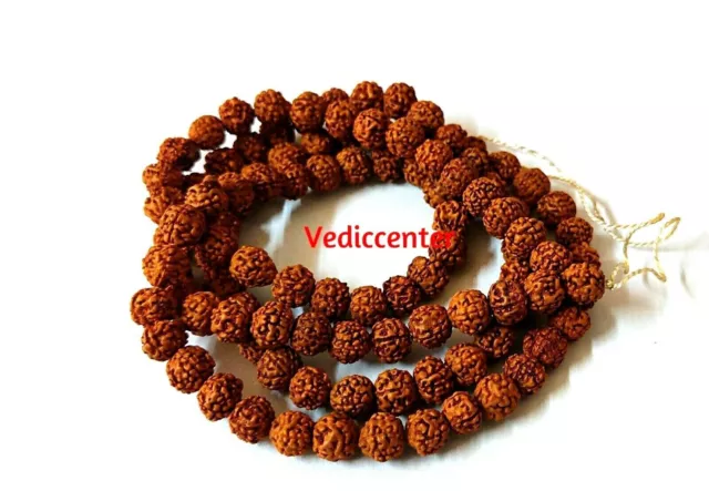 Rudraksha Rudraksh 109 Perlen 5 Mukhi Rosenkranz Mala 7 mm Halskette Nicht...