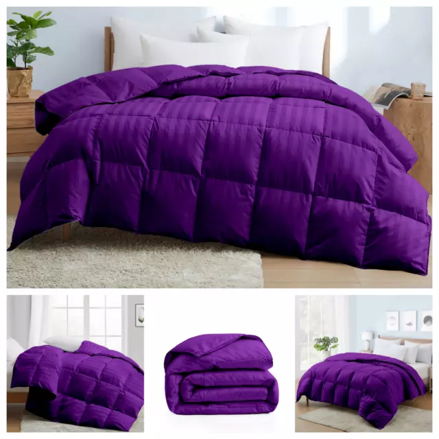 US Sizes Down Alternative Luxury Comforter Purple Stripes 1000 TC Select Set