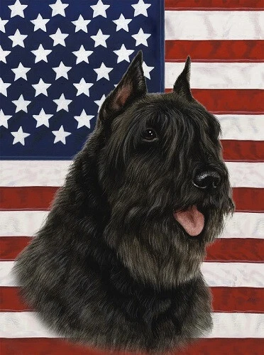 Patriotic (D2) House Flag - Black Bouvier des Flandres 32033