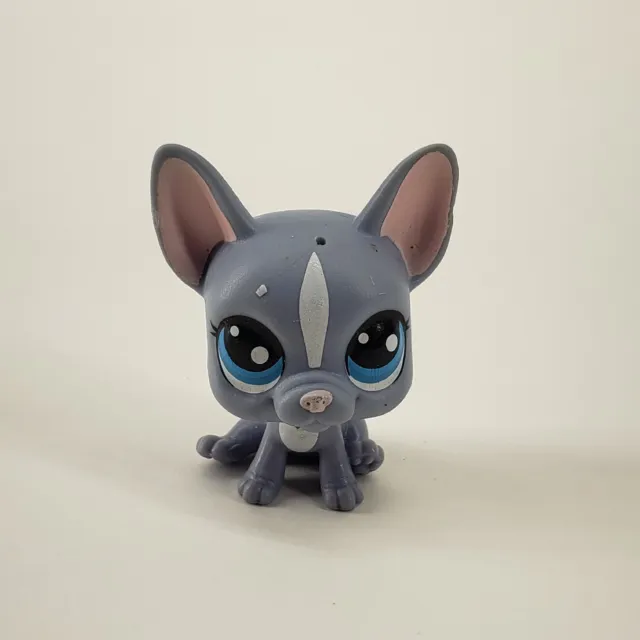 Littlest Pet Shop Pets In The City #62 Buster Brindle French Bulldog Grey White