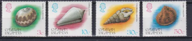 Cayman Islands 1984 Shells MNH**
