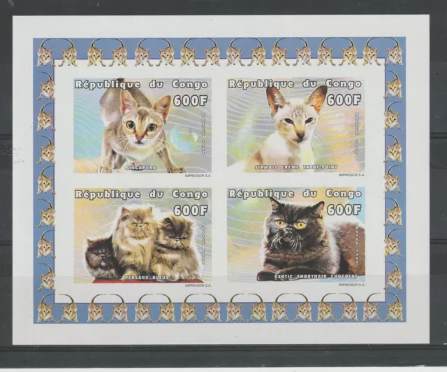 2000 Republique Du Congo Fauna Cats 1 Bf N.d. MNH MF94489
