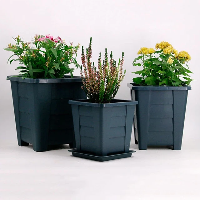 Accueil Plastique Boîte succulente Pot de Plante Pots de fleurs Planteur