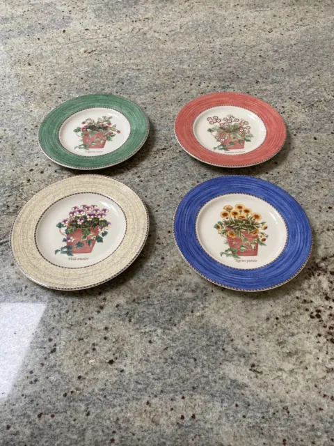 Wedgewood Sarah’s Garden Queens ware Salad Luncheon Plates  set of four 8"