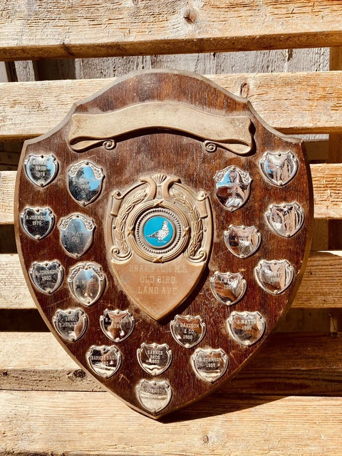 🏆 Big Vintage 1970’s Engraved Silver Trophy Wooden Shield EPNS  12” Trophies #C