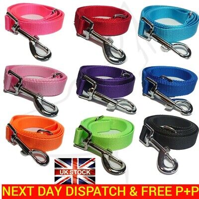 Dog Lead Leash walking accessory strong soft durable nylon 9 colours 2 Sizes UK