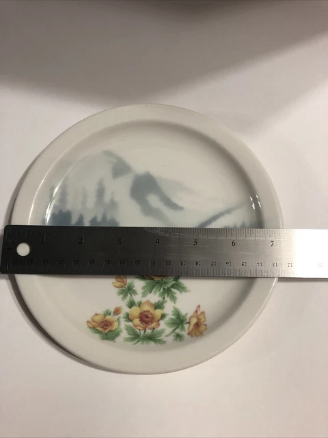 SYRACUSE Great Northern Railroad Mountains & Flowers Pattern Round Plate 4