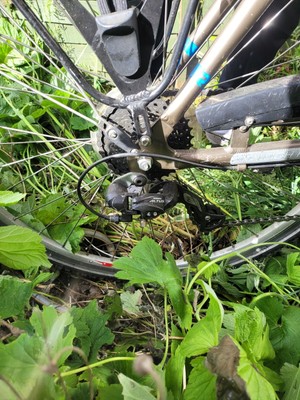 rad electric bike motor problem rad electric bike motor problem