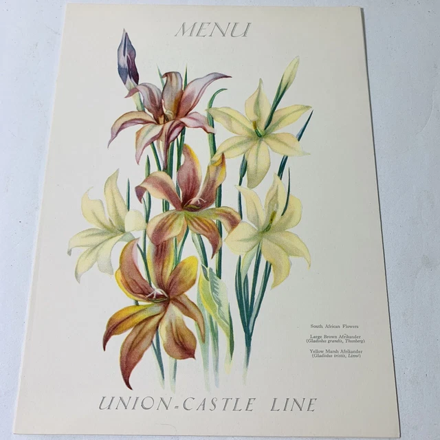 Union Castle Line Menu RMMV Stirling Castle 5the February 1937 HMS WW2 Flowers