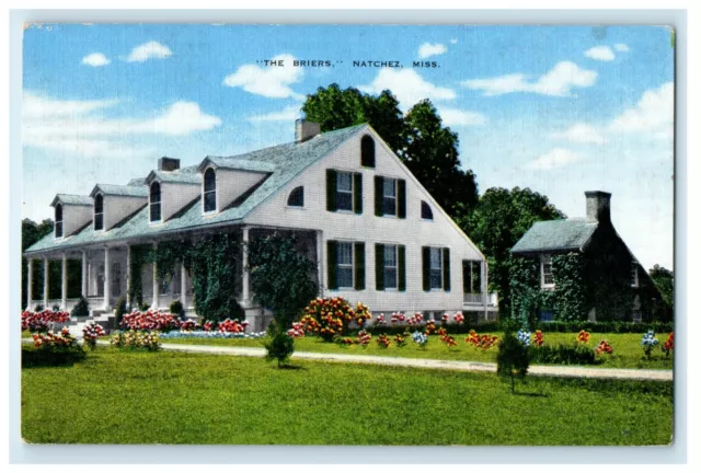 c1940's View Of The Briers Natchez Mississippi MS Unposted Vintage Postcard