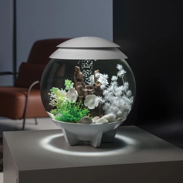 Atlantic® Oase BiOrb HALO Aquarium with Multi-Color Remote