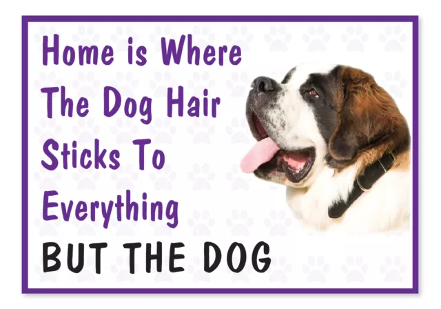 Home is Where The Dog Hair- Funny St Bernard Vinyl Car Van Decal Sticker Pets
