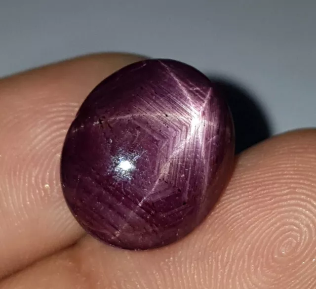 16,85 ct naturel Mozambique 6 rayons étoile rubis cabochon pierre précieuse...