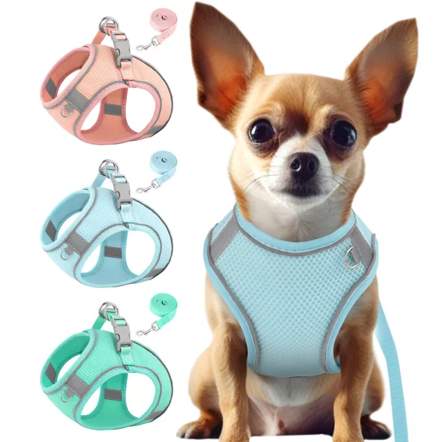Soft Breathable Mesh Pet Dog Harness and Leash Reflective Puppy Cat Step In Vest