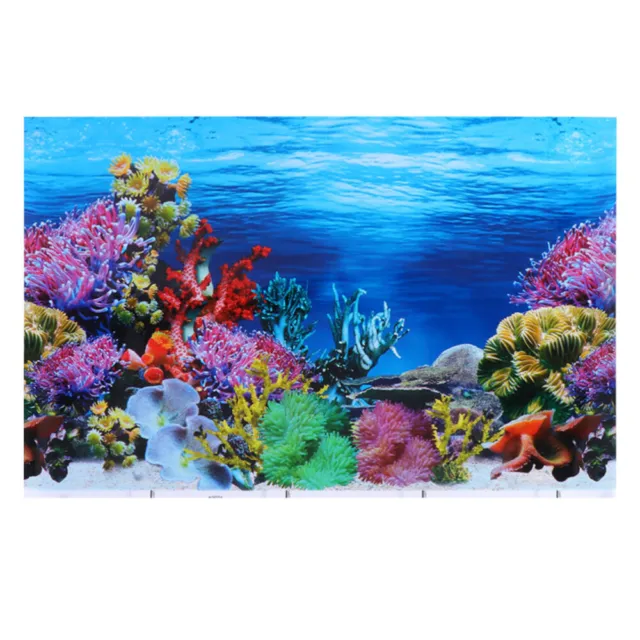 Fish Tank Background Paper Poster Aquarium Wallpaper Double Sided