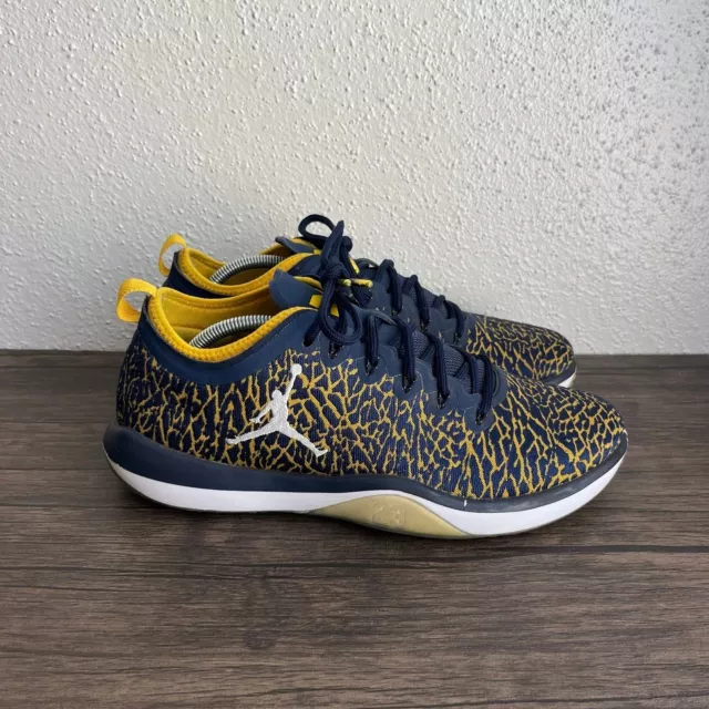 NIKE JORDAN TRAINER 1 Low Michigan Wolverines Athletic Shoes Men s 11 845403 420 59.99 PicClick