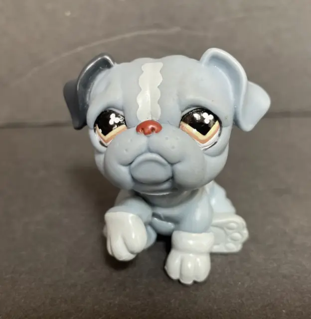 LPS Littlest Pet Shop English Bulldog Puppy Dog Blue Gray Brown Clover Eyes #668