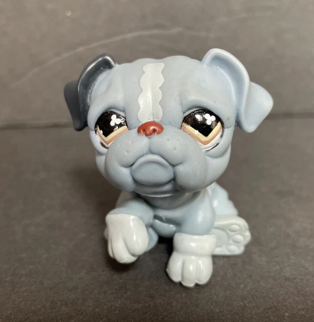 LPS Littlest Pet Shop English Bulldog Puppy Dog Blue Gray Brown Clover Eyes #668 LPS Littlest Pet Shop English Bulldog Puppy Dog Blue Gray Brown Clover Eyes #668