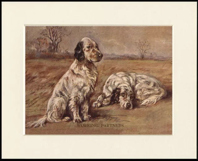 English Setter Dogs " Working Partners " Lovely Dog Print Mounted Ready To Frame