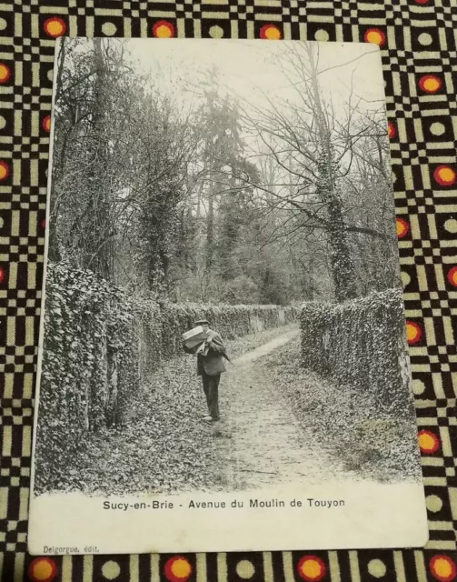 CPA du 94 SUCY EN BRIE - Avenue du moulin de Touyon