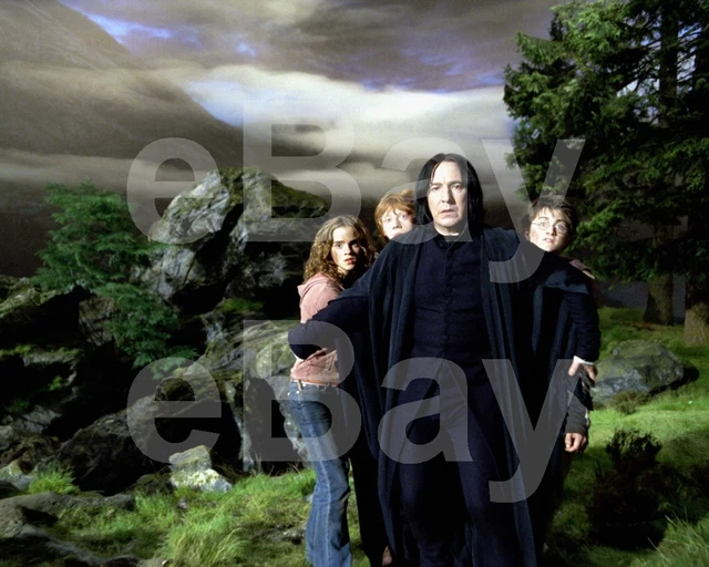 HARRY POTTER ALAN Rickman Emma Watson Rupert Grint Daniel Radcliffe 10x8 Photo EUR 5,60 HARRY POTTER ALAN Rickman Emma Watson Rupert Grint Daniel Radcliffe 10x8 Photo EUR 5,60