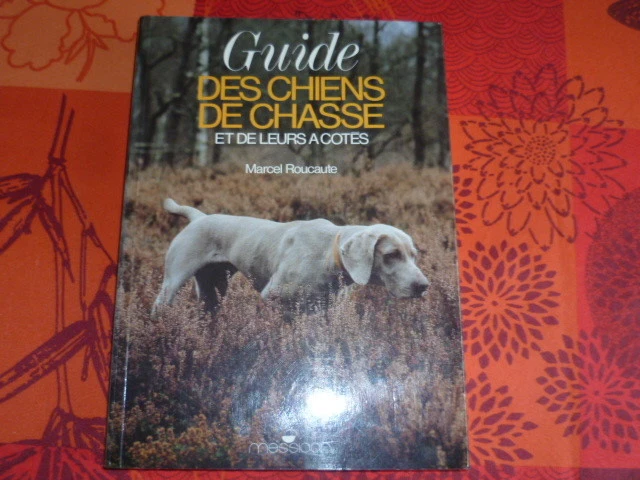 Guide 2025 : Races de chiens de chasse à connaître