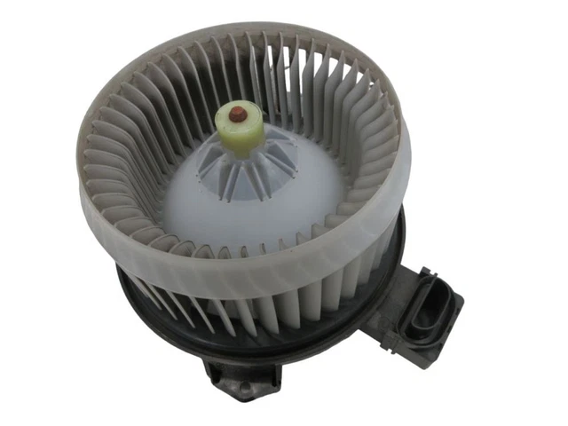 Viti Autofilettanti Per Legno E Cartongesso - 540 Pezzi Nero, Testa Croce, Acciaio Carbonio - Foto 12