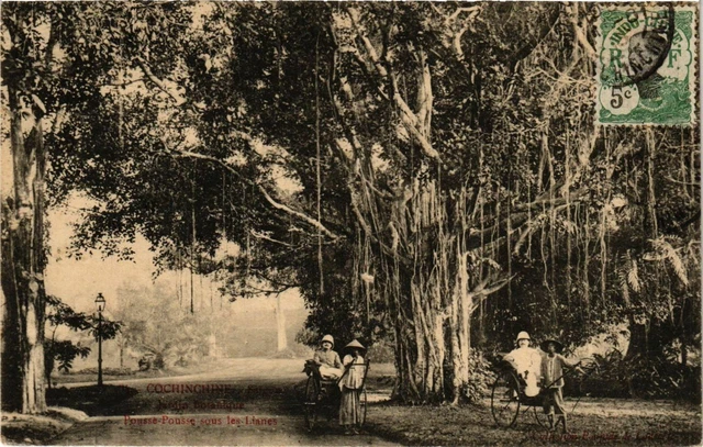 CPA AK VIETNAM Cochinchine - SAIGON Jardin Botanique (256868)