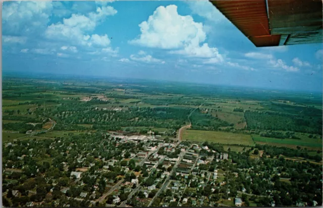 Mt. Vernon Missouri Aerial Town View Airplane Wing McShane Drug Store Postcard