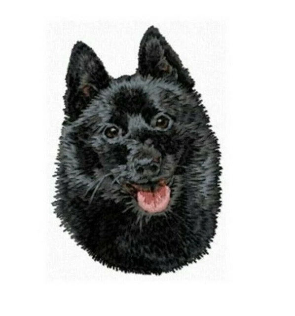 Schipperke Dog Breed Cute Bathroom SET OF 2 HAND TOWELS EMBROIDERED