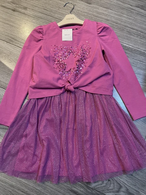 Next girls age 5 jumper and tutu dress outfit BNWT 💖