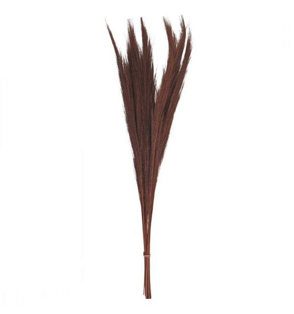 Bouquet d'Herbes Séchées 100cm - Coloris Marron