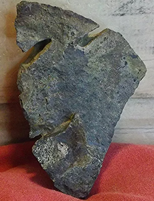 Prehistoric Stone Multi-Tool/Effigy/Rock Art/Sculpture/Birdstone/Pareidolia -B1